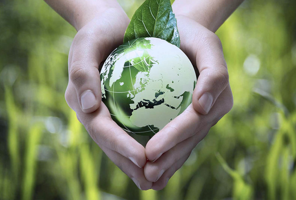 SEGURO AMBIENTAL