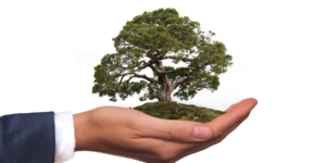 Lei Ambiental