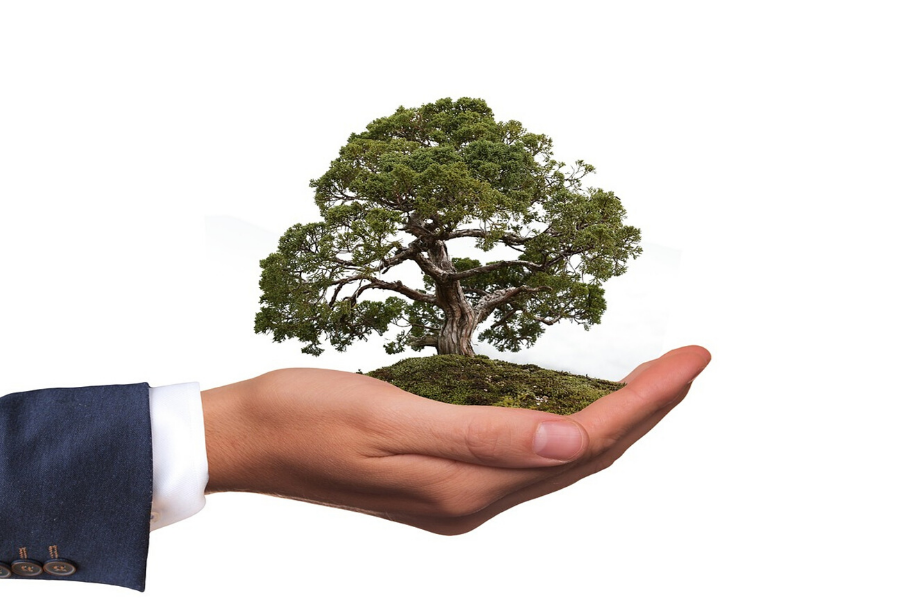 Lei Ambiental